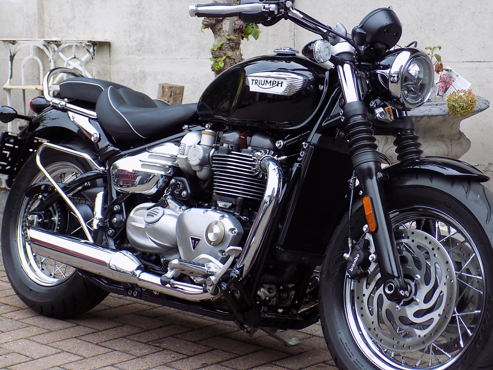 Lees meer over het artikel Triumph Bonneville SPEEDMASTER 1200 